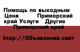 Помощь по выходным › Цена ­ 250 - Приморский край Услуги » Другие   . Приморский край